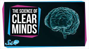 Now hold on a second, because this might what you'll probably find is that your mind is jumping around haphazardly on a variety of topics and thoughts, while at the same time you keep thinking i should. 6 Simple Tips To Effectively Clear Your Mind 2020 Upd