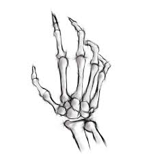 There are two long bones in the arm, so this could represent the ulna or radius. Drawing Hand Bone Tattoo Easy Novocom Top