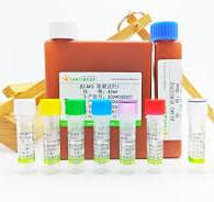 NGAL Test Reagent (LETIA)