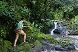 Belle belinha nudes _s exclusive OnlyFans content,