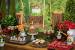 Enchanted Forest Forest Theme Birthday Party