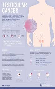 It can be as small as a pea but may be much larger. Pin On Infographics Health