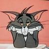 Tom and jerry are fictional character of american animated series tom and jerry cartoon series. 1