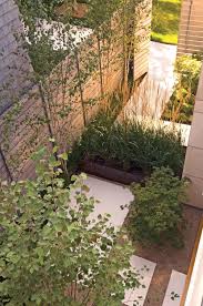 Ross Residence Sfo Andrea Cochran Urban Garden Design Urban Garden Landscape Design