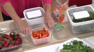 Oxo air fryer accessory set. Oxo Greensaver Produce Keeper Carbon Refill Set With David Venable Youtube