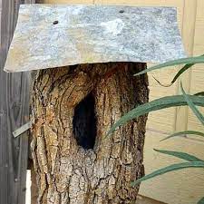 Tree Trunk Birdhouse Bird Houses Tree Stump Fairy Garden Diy Kids