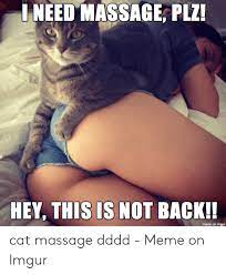25 Best Memes About Cat Massage Cat Massage Memes