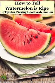 Another way to know when your watermelon is ready to pick is by checking the spot at the bottom of the watermelon where it has been sitting on the ground. How To Tell If A Watermelon Is Ripe 4 Tips To Pick A Good Watermelon