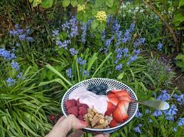 Korean traditional tea six gift set. Wake Up To Wildlife With 30 Days Wild 2021 The Wildlife Trusts