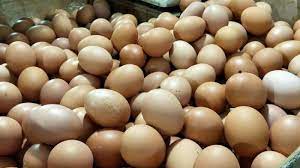 See more of info harga posko ayam broiler dan telur on facebook. Cepat Busuk Telur Ayam Infertil Dilarang Dijual Di Pasar Ini Cara Membedakan Dengan Telur Ayam Ras Tribun Jateng