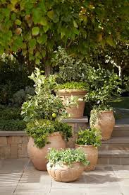 Smallprettyhouses Garden Containers Tuscan Garden Italian Garden