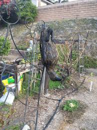 The krantz family's unfinished treehouse is turned into base get your inner science geek on as hgtv's my yard goes disney crew creates an educational backyard inspired by disney's epcot. How To Get Rid Of Crows In Your Yard Or Garden Dengarden