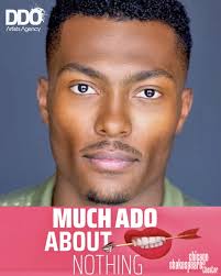 Local Chicago Talent Wins Big: Commercial and Theatre Contracts Booked