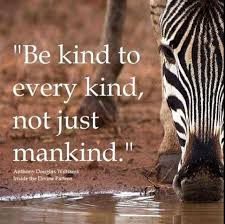 Be Kind To All Quote Animal Rights Animal Rights Pinterest Wildlife Quotes Animal Abuse Quotes Mother Nature Quotes