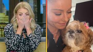 Kelly Ripa breaks down in tears, sharing the death of her family's dog,  Chewie,