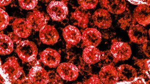 Genes, Blood Type Tied to Risk of Severe COVID-19 – NIH Director's ...