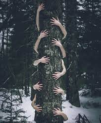 Dreamlike And Conceptual Photography By Shaina Sterrett Conceptual Photography Photography Secrets Photography Techniques