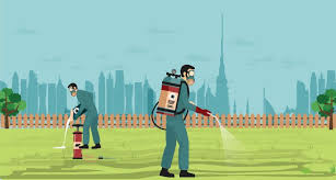 Pest control service in dubai helped me with deep cleaning and pest control services for my new home. Revealed Pest Control Trends In Dubai The Home Project Servicemarket