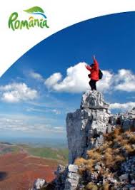 Identitate Vizuală Ministerul Economiei Energiei Si Mediului De Afaceri Turism