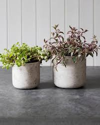 Remember too that it's not one single factor that will keep a plant happy. Best Plant Pots 20 Indoor And Outdoor Planters And Pots