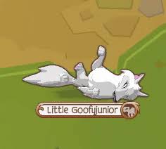 Its a wolf gif free for anyone to use. Arctic Wolf Animal Jam Classic Wiki Fandom
