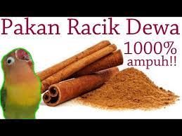 Berikut resep dan cara membuatnya. Cara Meracik Pakan Mangap Untuk Lovebird Konslet Ampuh 2019 Lovebirdkonslet Alami Muraibatu Youtube