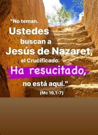 Image result for tbn:qO7wj5skszRxcM::img516.imageshack.us/img516/5782/untitled92of.png