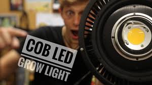 We did not find results for: The Top Cannabis Grow Lights In South Africa Zootly Co Za