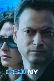 CSI: New York: Season 4