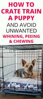 Crate Training A Puppy Whining Peeing Chewing Solved Crate Training Puppy House Training Puppies Puppy Training