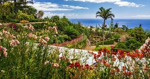 Madere L Ile Aux Fleurs Voyages Couture Madere Ile De Madere Ile