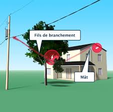 Travaux D Elagage Fils A Proximite Attention