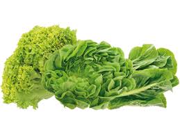 Maybe you would like to learn more about one of these? Lattuga Oro Della Terra