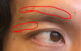 ãçã«ãããã®ç»åæ¤ç´¢çµæ