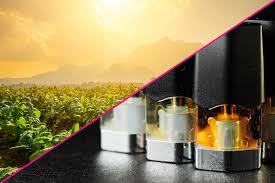 2020-2021 Innovators — Conrad Challenge