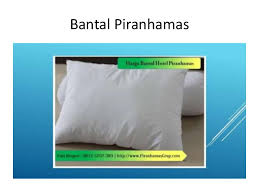 Kamu bisa menemukan penjual bantal guling bulu angsa dari seluruh indonesia yang terdekat dari lokasi & wilayah kamu sekarang. Hub 62 812 5297 389 Telkomsel Jual Bantal Bulu Angsa Jual Bant