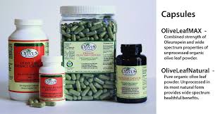 Healthiest Olive Leaf Source Olive Leaf Benefits Leaf Health Cold Sores Remedies