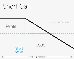 Diy Guide To Options Trading Options Puts And Calls