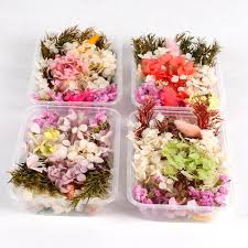 This dried wedding flower typically comes in neutral beige or muted pink shades, two essential hues of any boho color scheme. Dry Flower Mix 1 Box Real Dried Flower Decor Artificial Flowers Wedding Decor Resin Pendant Necklace Jewelry Diy Accessories Artificial Dried Flowers Aliexpress