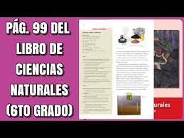 Catálogo de libros de educación básica. Pag 99 Del Libro De Ciencias Naturales Sexto Grado Youtube