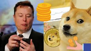 Musk has been publicly critical of cryptocurrency bitcoin, calling it bs, but explained on clubhouse that he regretted not buying it eight years ago. Elon Musk Dogecoin I Ucurdu Dogecoin Yukselisi Youtube