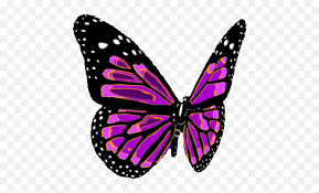 Butterfly clip art butterflies and moths image gif butterfly nohat. Butterfly Transparent Stickers For Flying Butterfly Clipart Gif Png Free Transparent Png Images Pngaaa Com