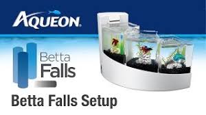 Would this work for shrimp? Aqueon Betta Falls Betta Desktop Aquarium Kit Set Up Youtube