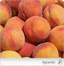 Epingle Sur Peches