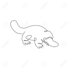 Your resource to discover and connect with designers worldwide. One Continuous Line Drawing Of Cute Platypus For Logo Identity Royalty Free Cliparts Vectors And Stock Illustration Image 154547059