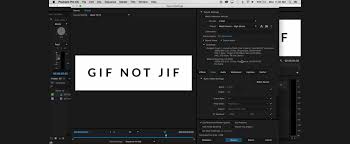 Destiny2 counter strike csgo global offensive games. How To Export A Gif From Premiere Pro