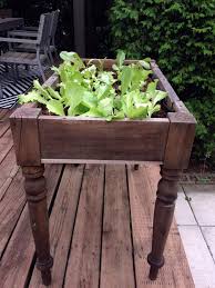 Elevate Your Salad Make A Raised Bed Lettuce Table Bed Creativegardenideasfleamarkets E I 2020