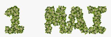 Popular attractions place de jaude and parc des sports marcel michelin are located nearby. Muguet 1er Mai Png Transparent Png Transparent Png Image Pngitem