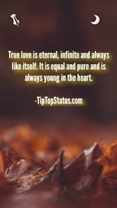 If you are in love and badly want to convey how much you love, care, and feel for the other person, then you cannot go wrong in expressing your emotions through whatsapp in the form of love status. Dowload Free Love Quotes Whatsapp Status Image In Hd