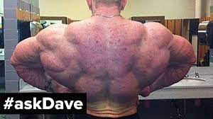 When it comes to training the back muscles, it's important to remain cognizant of your back muscle anatomy. The Sardonic Motherf Cker On Twitter Whenever I Google Back Muscles For Reference I Always Have To Sift Through Five Hundred Muscle Tone Workout Backs Bro I Just Want Someone S Regular Ass Back